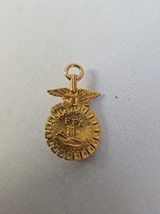 Vintage FFA Vocational Agriculture GK LGB Pin Award Medal 1/10 10k GF 3.6 grams - Picture 1 of 10