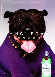 TANQUERAY GIN AD #53 RARO 1999 FUORI STAMPA VINTAGE 4 PAGINE ANNUNCIO - Foto 1 di 5