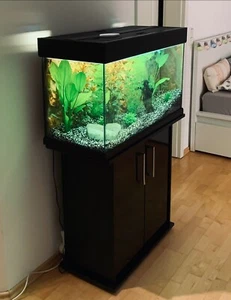 EHEIM Aquarium komplett 126L inklusive Zubehör (Starterpaket) - Bild 1 von 16