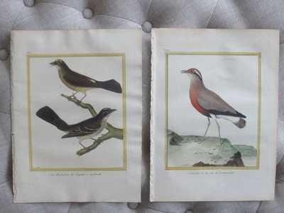 Martinet Birds - Siglo XVIII, Histoire Naturelle des Oiseaux, Pl #830 y 892 Foto 1 de 4