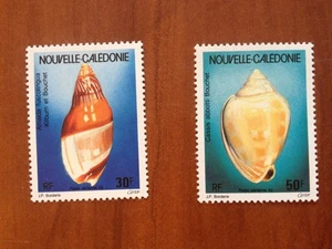 NOUVELLE CALEDONIE PA Num 290-291 ** MNH ANNEE 1992 Coquillage - Picture 1 of 1
