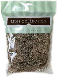 Preserved Spanish Moss 108.5 Cubic Inches-Natural 740657050040