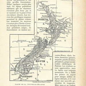 Neuseeland - - Ozeanien - Artikel Presseschnitt 1896 - Bild 1 von 5
