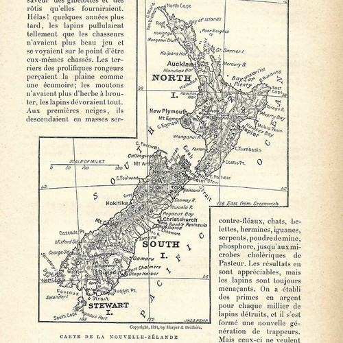 Foto 1 di 5