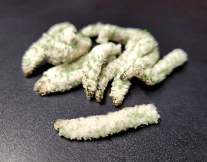 MOP FLY - BODY MATERIAL - CREAM/ OLIVE - 1-1/4 X 1/4" - Fly Tying Materials - Picture 1 of 5
