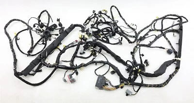 Arnés de cableado de piso de carrocería Ford LN1Z-14A005-CZ EcoSport 2019-2022 nuevo OEM Foto 1 de 4