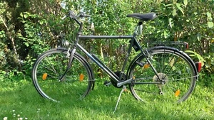 Herren trekkingrad 28 zoll - Bild 1 von 1