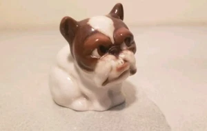 Vintage Englischer Bulle Hund Schierholz Porzellan grüner Stempel - Bild 1 von 5