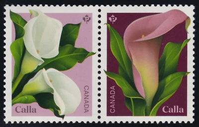 CANADA 2022 Calla SS, Se-tenant pair #3319i w/ #3319a white & #3319b pink MNH - Image 1 of 2