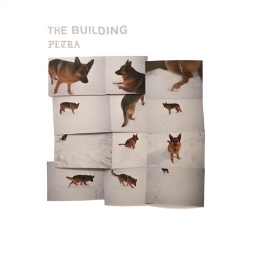 The Building Petra (CD) Album - Image 1 of 1