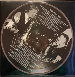 BRUCE SPRINGSTEEN - DUETS VOLUME 1 - LIMITED PICTURE DISC SEALED - Imagen 1 de 1