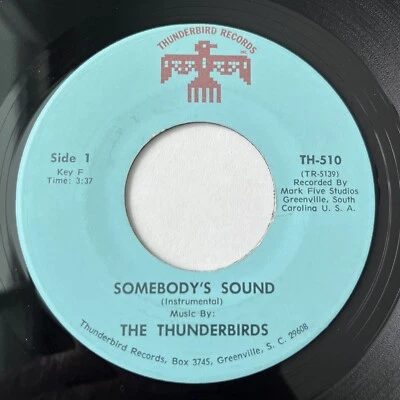 THUNDERBIRDS - чей-то звук / T-Bird тряпка - редкая блюграсс Южная Каролина - Изображение 1 из 4