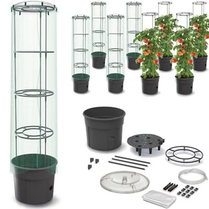 Plant Pot Tomato Plant Pot with Lid and Foil Plant Pot Tomato Plant - Picture 1 of 21