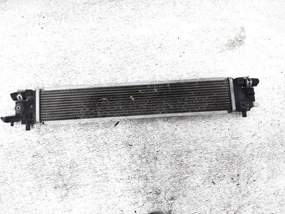 Radiador auxiliar Honda Insight 2019-2022 - híbrido 1,5 L - 1J010-6L2-A01 Foto 1 de 4