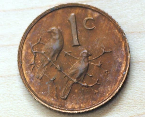 1977 South Africa 1 Cent Cape Sparrows - Picture 1 of 4