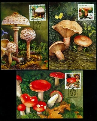 2008 Mushrooms,Insect,Witch,Crow,Flowers,Cook,Bug,Romania,6262=6 FDC Maxi cards - Image 1 of 2