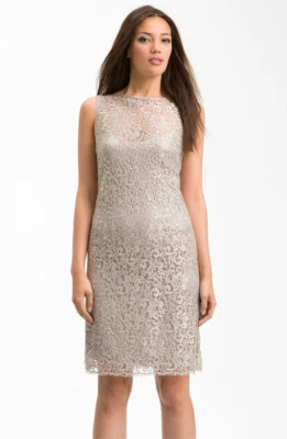 Vestido recto de encaje metálico sin mangas Teri Jon (talla 10)* Foto 1 de 3