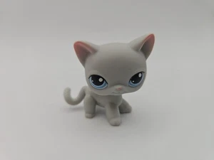 LPS Littlest Pet Shop #246 grigio gatto pelo corto autentico cesto primaverile Hasbro - Foto 1 di 6