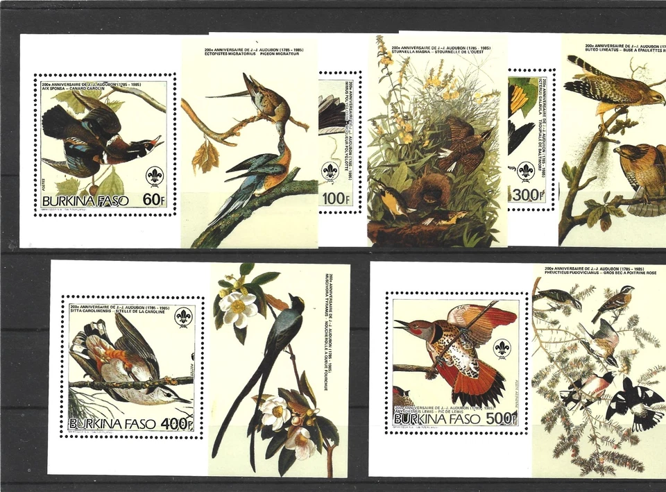Burkina Faso 1985 Audubon Birds juego de piezas a 500 f (5) MNH Foto 1 de 1