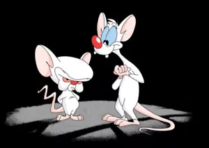 Pinky and the Brain # 17 - Camiseta Plancha Sobre Transferencia - - Imagen 1 de 1