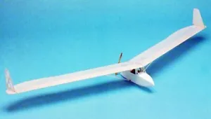 Cicogna Flying Wing 62" Wingspan RC Model Airplane Printed Plans & Templates - Picture 1 of 2