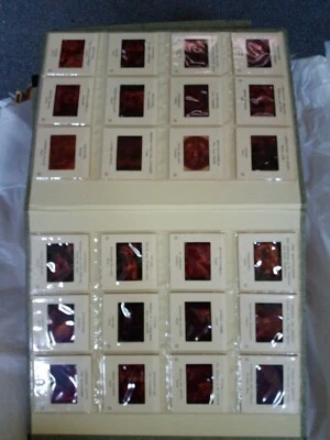 The High Renaissance Italian Painting Vintage '63 Color Slide Program World Art - Image 1 of 4