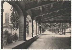 LUCCA - LE MURA -11577- - Picture 1 of 1