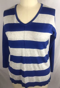 Lane Bryant Blue Gray Striped V-Neck Sweater Top Women's Plus Size 14/16 New - Bild 1 von 12