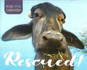 2019 PETA Calendario da parete animali salvati - Foto 1 di 2
