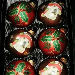 Glass Pet Christmas  Ornaments  (8) - Picture 1 of 4