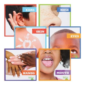 Jump Library Our Amazing Bodies - Set of 6 - Picture 1 of 7