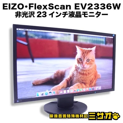 EIZO FlexScan EV2336W 23 Inch Full HD 1920x1080 Non-Glare Monitor Pivot DisplayP - Image 1 of 4