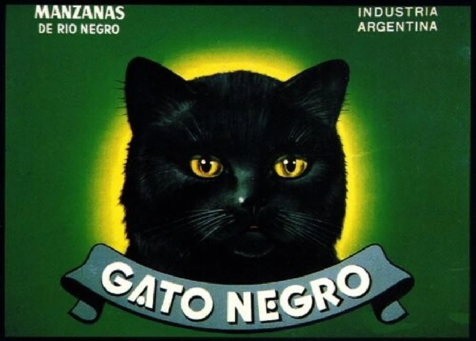 Gato Negro Manzana Argentina Gato Negro Halloween Caja de Frutas Etiqueta Arte 8.5x11 Foto 1 de 1