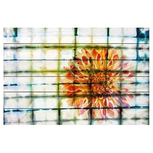 Peacock by Parvez Taj Painting Print on White Wood - Picture 1 of 1
