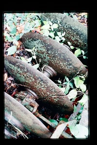 Kodachrome 35mm Color Slide of Rusted Old Farm Equipment with Overgrown Foliage - Picture 1 of 1