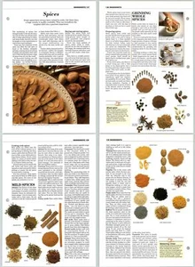 Spices - Ingredients - Successful Cooking Eaglemoss - Recipe 2 Pages - Picture 1 of 1