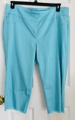RUBY RD. WOMENS PANTS CAPRI SPRING OASIS SIZE 20W ELASTIC WAISTBAND PULLON DEMIN - Image 1 of 4