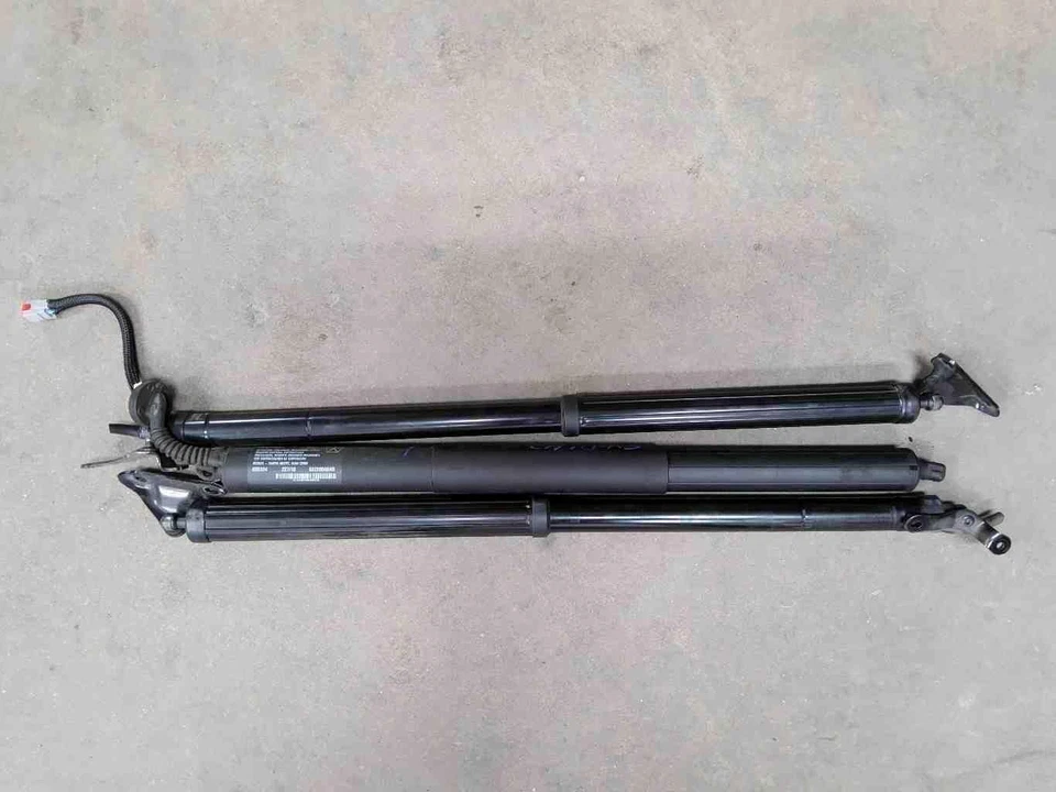 Комплект амортизаторов подъемного двигателя задней двери HONDA PASSPORT 20 - Изображение 1 из 1