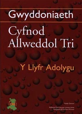Gwyddoniaeth Cyfnod Allweddol 3 - Y Llyfr Adolygu by Paddy Gannon Paperback The - Image 1 of 2