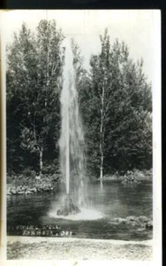 FORMOSA  ONT. SPRING WELL RPPC POSTCARD    CIRCA 1905 REF BSMNT 223 - Picture 1 of 1