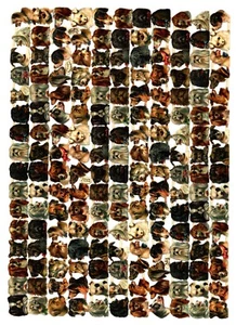dog portraits die cut paper scraps Tuck gigantic relief 1191, artist Maquire - Picture 1 of 2