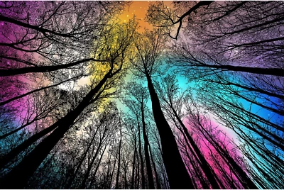 Puzzle-Bosque bajo la noche estrellada-1000 piezas degradado mágico colorido rompecabezas para Foto 1 de 4