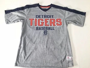 True Fan MLB Detroit Tigers S/S Tee Mens Medium Gray Big Graphic - Picture 1 of 7