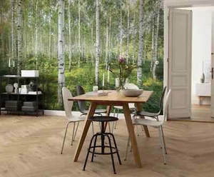WALL MURAL bedroom PHOTO wallpaper 12x8 foot green foggy forest decoration - Picture 1 of 5