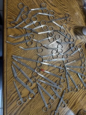 Lote de 40 tijeras de ostomía Coloplast 95050 - hoja curvada de acero inoxidable de 4" y 7” Foto 1 de 4