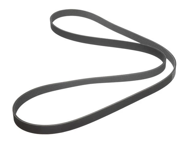 Cinturón Multi Rib Dayco 98XTCM19 para Buick Century 1994 1995 1996 Foto 1 de 1