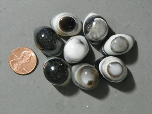 Augenkabinen schwarz-weiß gebanden Achat 8 Taxis Naturedelsteine 371 Karat - Bild 1 von 2
