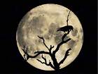 CROW SILHOUETTE MOON BLACK GREY PHOTO ART PRINT POSTER PICTURE BMP1006B