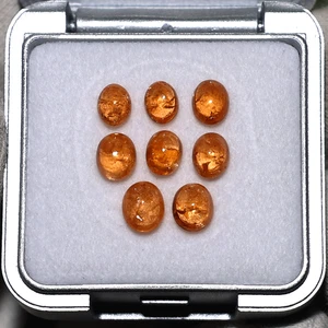 Lote de 8 piedras preciosas naturales Fanta granate raro 5,4 mm-6,3 mm cabujón ovalado sin tratar - Imagen 1 de 10