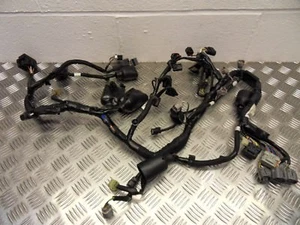 Arnés de telar de cableado principal Kawasaki ZX6R 636 (sin abs) 2013 a 2016 - Imagen 1 de 10